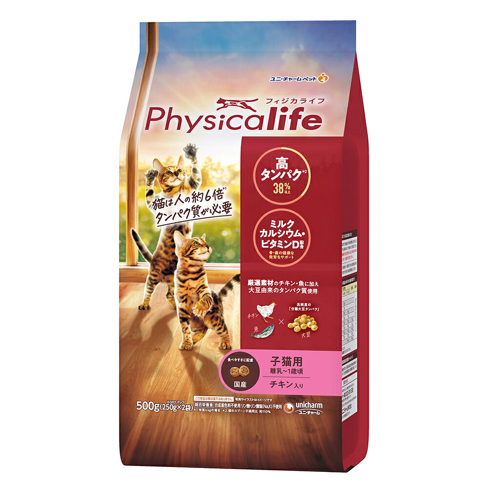 Physicalife フィジカライフ 子猫用