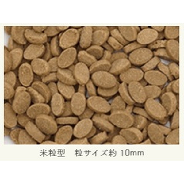 ◇ベストアメニティ アニマル・ワン 犬の雑穀ごはん(チキン・アダルト)800g | 犬の雑穀ごはん アダルト チキン アニマルワン ペットフード ドライ シニア 成犬 犬 ドックフード ドッグ 食物アレルギー フード ペット用 グレインフリー 低アレルゲン ごはん 子犬 petforest-10034172 ペットフォレスト 楽天市場店 サンプル画像2