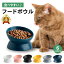 【4日20時〜お得なクーポン配布!】猫 食器 犬 餌入れ フードボウル 餌皿 エサ皿 ペット 陶器 ペット用 猫用食器 犬用食器 小型犬 小型犬用 フード 斜め 傾斜 ペットボウル 餌 エサ エサ入れ セラミック 皿 お皿 おしゃれ 可愛い 人気 ランキング 食べやすい 丸い 楽天 1,300円
