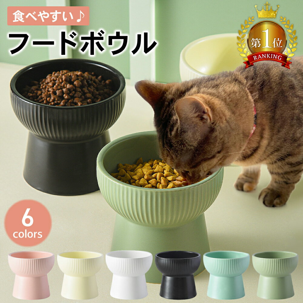 【LINE登録で10%オフクーポン!】猫 フードボウル 犬 餌皿 エサ皿 食器 陶器 餌 エサ 高さがある 食べやすい ペット …