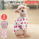 楽天PET FUN（ペットファン）【LINE登録で10％オフクーポン!】りんご柄Tシャツ 犬服 犬の服 Tシャツ カットソー ペット服 S・M・L・XL・XXL ドッグウェア ドッグウエア いぬ ペット トップス 春服 夏服 秋服 犬服 散歩 おしゃれ 可愛い かわいい 人気 ランキング 女の子 男の子 小型犬 ドッグ用品