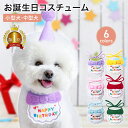 楽天PET FUN（ペットファン）【LINE登録で10％オフクーポン!】ペットコスチューム ドッグウェア バースデー 犬 誕生日 猫 ペット用スタイ 帽子 犬用 猫用 記念日 プレゼント インスタ映え 人気 通販 アクセサリー アイデア インスタ お祝い おすめ 被り物 キャップ 首輪 コスプレ 撮影 スタイ 洋服