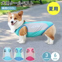 【最大20%OFF!11日01:59迄】犬用 クールベスト 夏服 夏用 クール 暑さ対策 散歩 お出かけ 熱中症対策 ひんやり ベスト犬服 ペットウェア ドッグウェア おしゃれ かわいい 反射材 夜間 冷感グッズ 冷却 ヒンヤリ 涼しい 快適 夏 ウェア PETFUN ペットファン