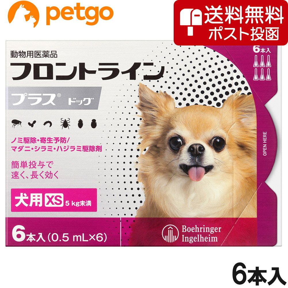 【ネコポス(同梱不可)】犬用フロントラインプラスドッグXS 5kg未満 6本（6ピペット）（動物用医薬品）【あす楽】