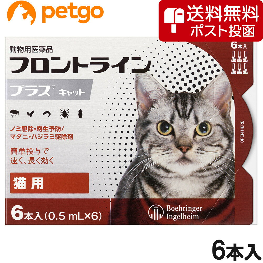 【ネコポス(同梱不可)】猫用フロントラインプラスキャット 6本（6ピペット）（動物用医薬品）
