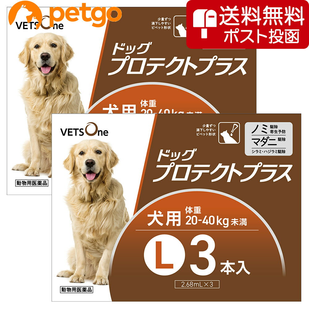 【5%OFFクーポン】【ネコポス(同梱不可)】【2箱セット】ベッツワン ドッグプロテクトプラス 犬用 L 20kg〜40kg未満3本(動物用医薬品)【あす楽】