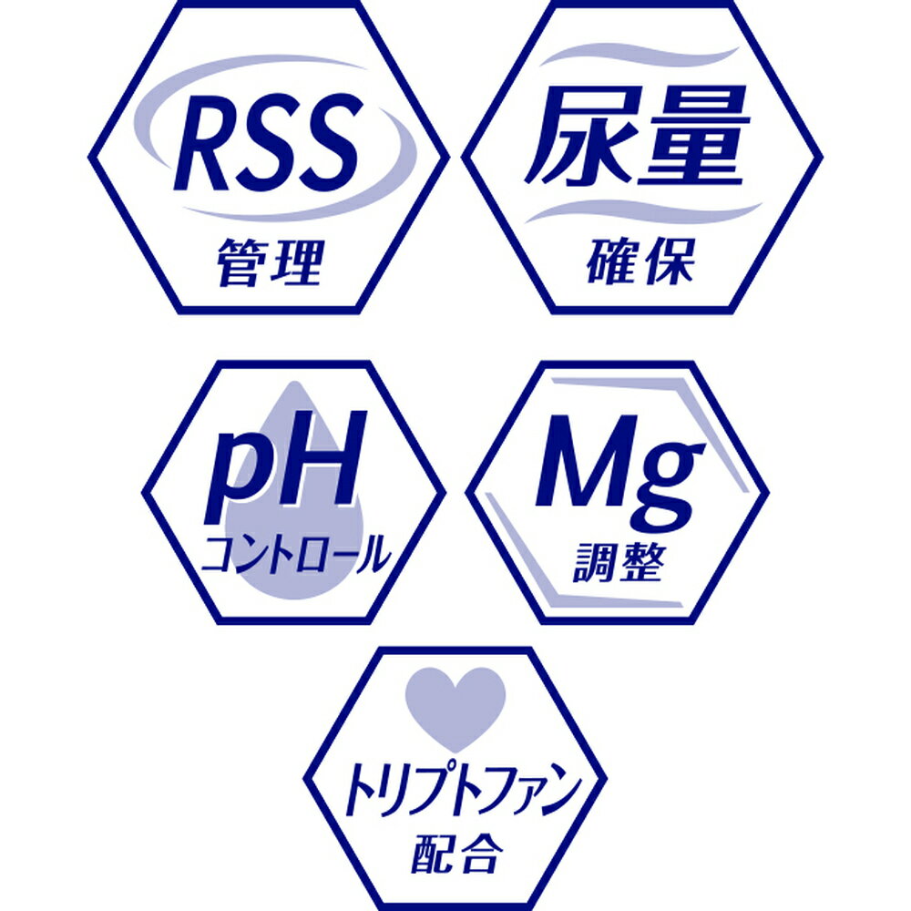 サンプル画像3