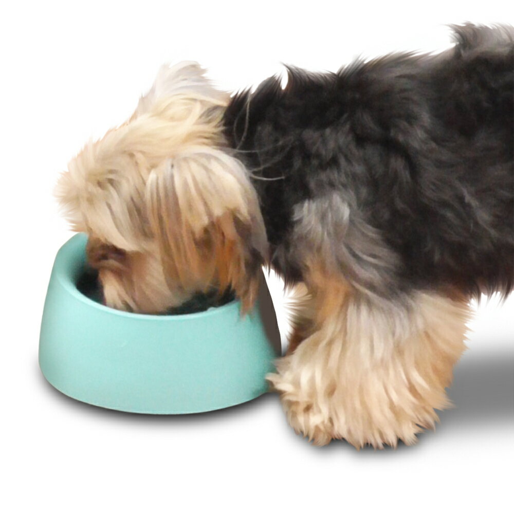 トーラス ボーダン 240mL