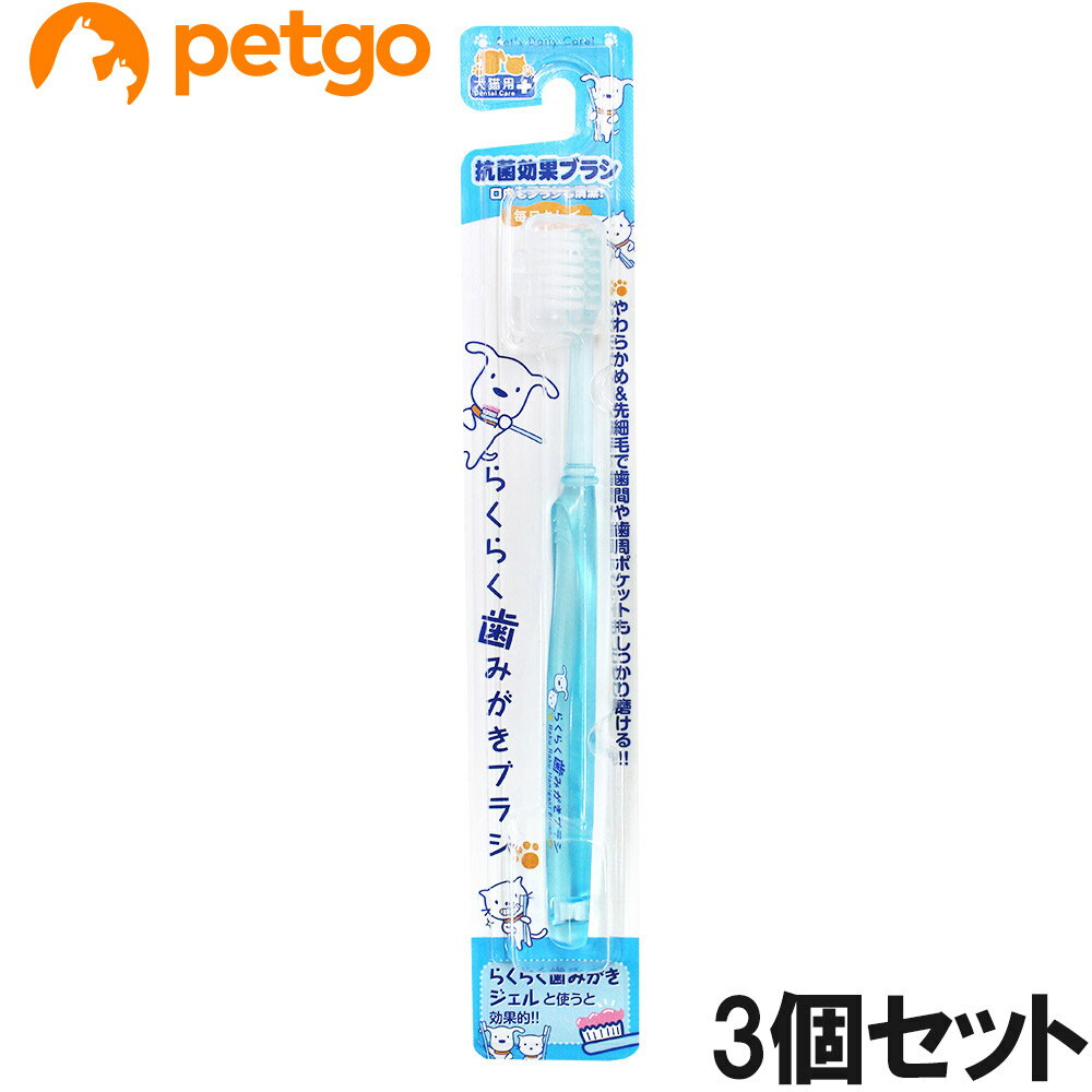 Rakuten - 毎日キレイ らくらく歯みがきブラシ×3個【まとめ買い】