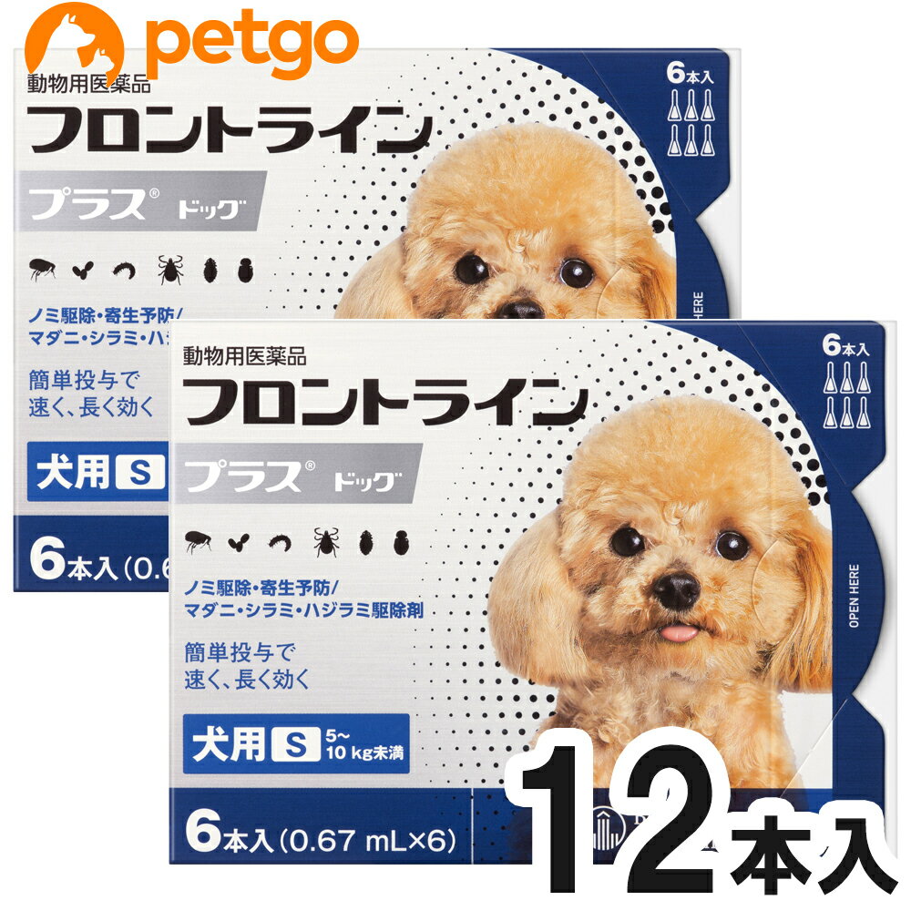 楽天ペットゴー 楽天市場店【2箱セット】犬用フロントラインプラスドッグS 5～10kg 6本（6ピペット）（動物用医薬品） 【あす楽】