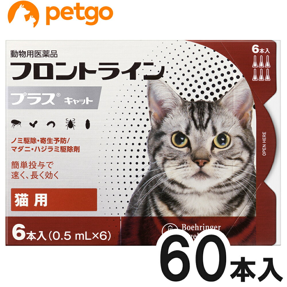 【使用期限：2025年10月以降の商品を出荷させていただきます。】【沖縄県へのお届けは陸送でのお届けとなります。お届けまでに約一週間程度かかりますので、あらかじめご了承ください。】 必ず製品の添付文書をよく読み用法用量を守って正しくご使用ください。セットでの販売の商品になります。単品での返品は一切お受けしておりません。あらかじめご了承くださいませ。フロントライン プラスは、従来のフロントライン同様に、ペットに寄生した成ノミやマダニを速やかに駆除。加えて、新配合の（S）-メトプレンがノミの卵の孵化・発育まで阻止するダブルの効果で、寄生中のノミだけでなく、その繁殖・再寄生を予防します。また、猫のハジラミを駆除する効果も確認されています。 ■効能効果：猫：ノミ、マダニ及びハジラミの駆除ノミ卵の孵化阻害及びノミ幼虫の変態阻害によるノミ寄生予防 ■用法用量：8週齢以上の猫の肩甲骨間背部の被毛を分け、皮膚上の1部位にピペット全量を滴下する。 ■使用上の注意：一般的注意（1）本剤は効能・効果において定められた目的にのみ使用すること。（2）本剤は定められた用法・用量を厳守すること。（3）本剤は獣医師の指導の下で使用すること。（4）猫以外の動物には使用しないこと。特にウサギには使用しないこと。猫に対する注意1.制限事項（1）衰弱、高齢、妊娠中あるいは授乳中の猫には、慎重に投与すること。（2）本剤使用後2日間は、水浴あるいはシャンプーを控えることが望ましい。2.副作用（1）もし、動物が舐めた場合、溶媒の性状のため一過性の流涎が観察されることがある。そのため、滴下部位を他の動物が舐めないように注意すること。（2）まれに、他の外用殺虫剤と同様に本剤の使用後、個体差による一過性の過敏症（投与部位の刺激によるそう痒、発赤、脱毛）が起こることがある。もし、症状が持続または悪化する場合は、直ちに獣医師に相談すること。 ■保管上の注意：（1）小児の手の届かないところに保管すること。（2）直射日光を避け、なるべく湿気の少ない涼しいところに保管すること。 ■主成分：1mL中フィプロニル 100.0mg（S）－メトプレン 120.0mg ■JANコード：4987743500393 ■原産国：フランス ■メーカー：ベーリンガーインゲルハイム ■区分：動物用医薬品 ■広告文責：ペットゴー株式会社　0120-958-046 ■更新日時：2024/05/31 16:40:34 ＜免責事項＞本サイトに掲載されている商品情報は、商品パッケージやカタログ、またはメーカーから提供された情報に基づくものであり、その内容について当社は責任を負いかねます。これらについてのお問い合わせはメーカーに直接行っていただきますようお願いいたします。また、メーカーによる仕様変更に伴い商品の表記と実際の仕様が異なる場合がございます。