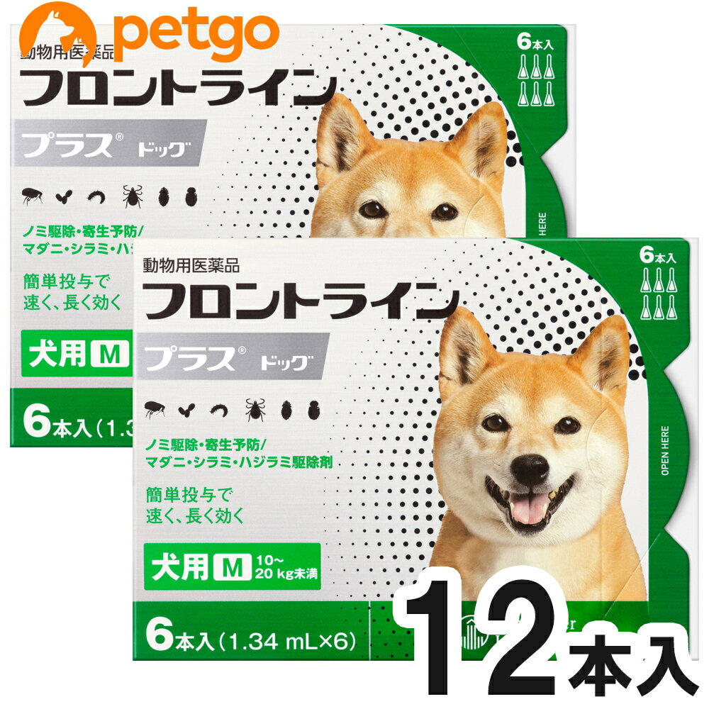 【使用期限：2025年10月以降の商品を出荷させていただきます。】【沖縄県へのお届けは陸送でのお届けとなります。お届けまでに約一週間程度かかりますので、あらかじめご了承ください。】 必ず製品の添付文書をよく読み用法用量を守って正しくご使用ください。セットでの販売の商品になります。単品での返品は一切お受けしておりません。あらかじめご了承くださいませ。フロントライン プラスは、従来のフロントライン同様に、ペットに寄生した成ノミやマダニを速やかに駆除。加えて、新配合の（S）-メトプレンがノミの卵の孵化・発育まで阻止するダブルの効果で、寄生中のノミだけでなく、その繁殖・再寄生を予防します。また、犬のシラミとハジラミを駆除する効果も確認されています。 ■効能効果：犬：ノミ、マダニ、シラミ及びハジラミの駆除ノミ卵の孵化阻害及びノミ幼虫の変態阻害によるノミ寄生予防 ■用法用量：8週齢以上の犬の肩甲骨間背部の被毛を分け、皮膚上の1部位に直接次のピペット全量を滴下する。体重／容量規格5kg未満／0.5mL入りピペット10kg未満／0.67mL入りピペット10～20kg未満／1.34mL入りピペット20～40kg未満／2.68mL入りピペット40～60kg未満／4.02mL入りピペット ■使用上の注意：一般的注意（1）本剤は効能・効果において定められた目的にのみ使用すること。（2）本剤は定められた用法・用量を厳守すること。（3）本剤は獣医師の指導の下で使用すること。（4）犬以外の動物には使用しないこと。特にウサギには使用しないこと。犬に対する注意1.制限事項（1）衰弱、高齢、妊娠中あるいは授乳中の犬には、慎重に投与すること。（2）本剤使用後1日間は、水浴あるいはシャンプーを控えることが望ましい。2.副作用（1）もし、動物が舐めた場合、溶媒の性状のため一過性の流涎が観察されることがある。そのため、滴下部位を他の動物が舐めないように注意すること。（2）まれに、他の外用殺虫剤と同様に本剤の使用後、個体差による一過性の過敏症（投与部位の刺激によるそう痒、発赤、脱毛）が起こることがある。もし、症状が持続または悪化する場合は、直ちに獣医師に相談すること。 ■保管上の注意：（1）小児の手の届かないところに保管すること。（2）直射日光を避け、なるべく湿気の少ない涼しいところに保管すること。 ■主成分：1mL中フィプロニル 100.0mg（S）－メトプレン 90.0mg ■JANコード：4987743500485 ■原産国：フランス ■メーカー：ベーリンガーインゲルハイム ■区分：動物用医薬品 ■広告文責：ペットゴー株式会社　0120-958-046 ■更新日時：2024/05/17 14:23:32 ＜免責事項＞本サイトに掲載されている商品情報は、商品パッケージやカタログ、またはメーカーから提供された情報に基づくものであり、その内容について当社は責任を負いかねます。これらについてのお問い合わせはメーカーに直接行っていただきますようお願いいたします。また、メーカーによる仕様変更に伴い商品の表記と実際の仕様が異なる場合がございます。