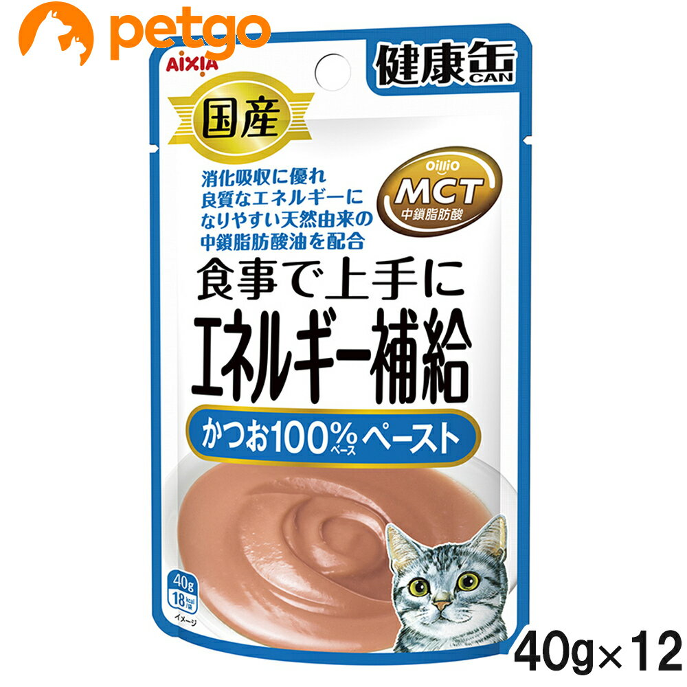 国産 健康缶パウチ エネルギー補給 かつおペースト 40g×12袋【まとめ買い】