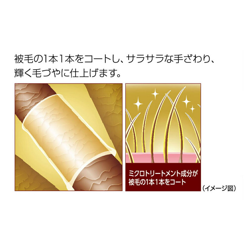 �����å�����å� �ȥ꡼�ȥ��ȥ��󥷥��ס������� ��ե�å��奵�ܥ� ������ 20��