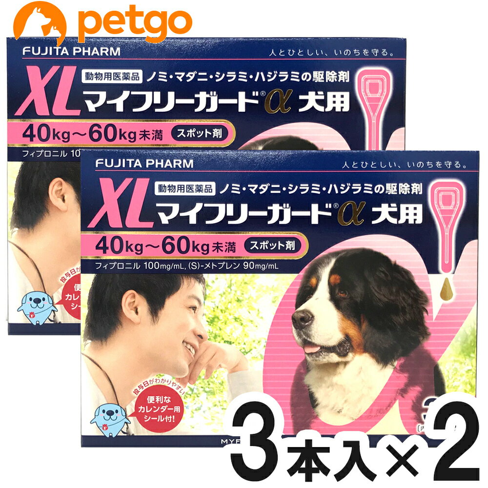 【2箱セット】マイフリーガードα 犬用 XL 40～60kg 3本（動物用医薬品）【あす楽】