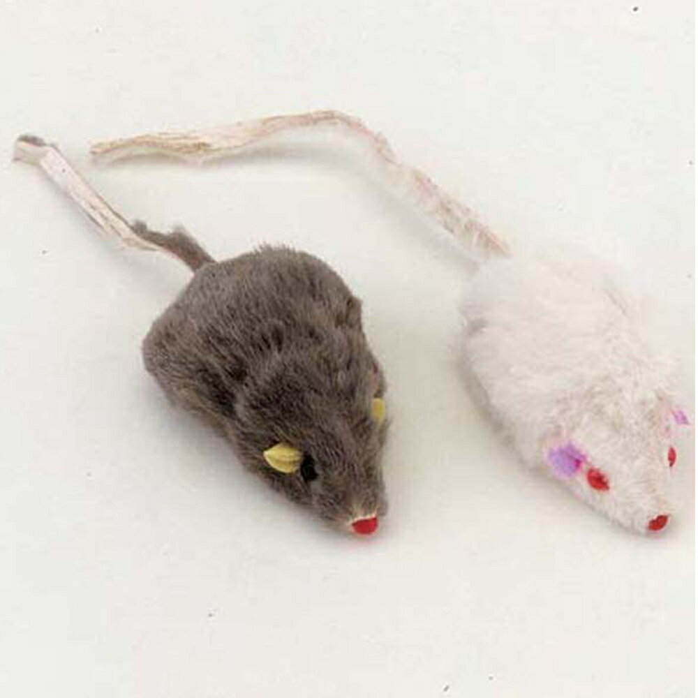 ����ƥ����ޥ� �����ǭ �ƥͥ��ߡ�30��������