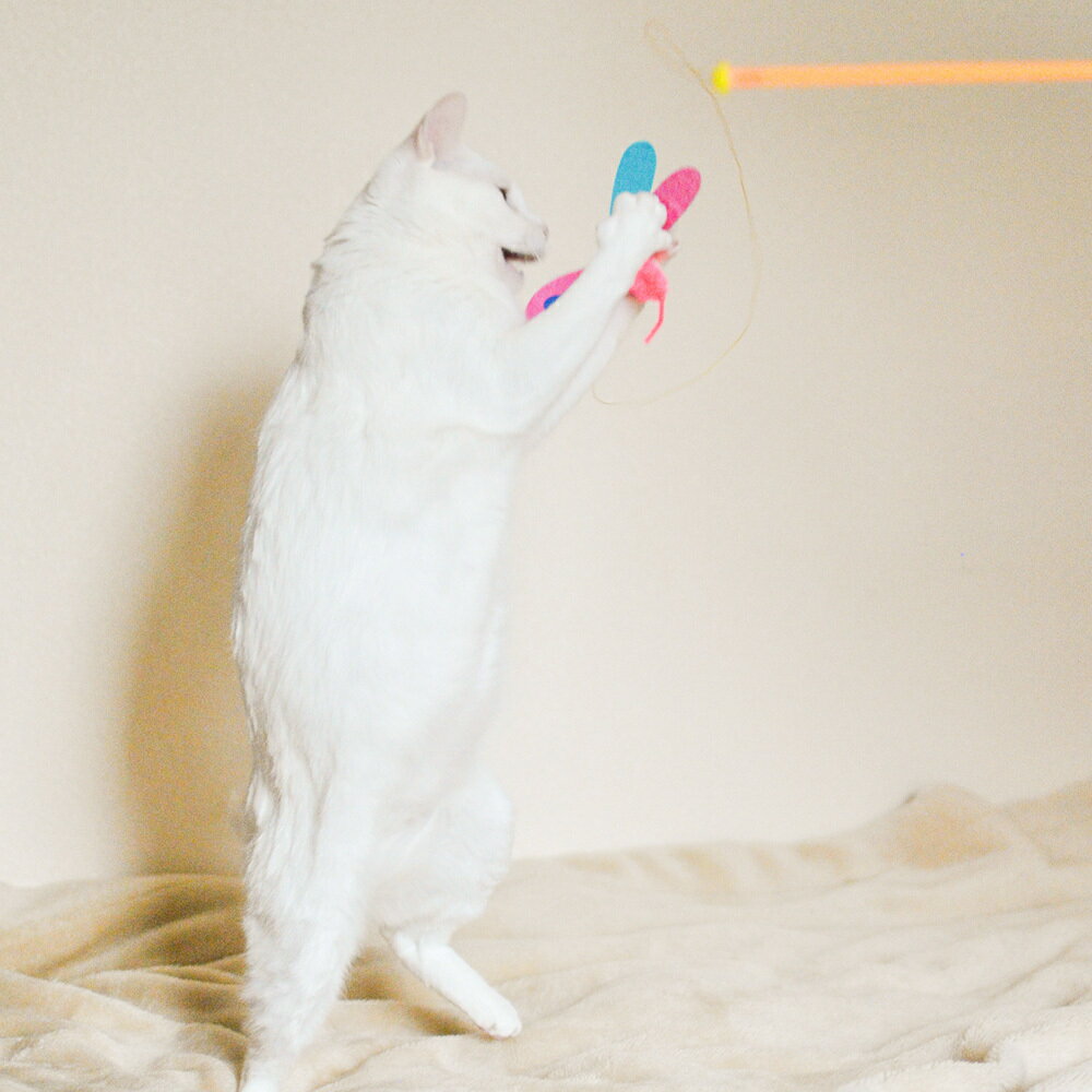 ペッツルート カシャカシャぶんぶん トンボ