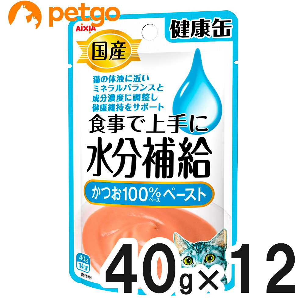 楽天ペットゴー 楽天市場店国産 健康缶パウチ 水分補給 かつおペースト 40g×12袋【まとめ買い】【あす楽】