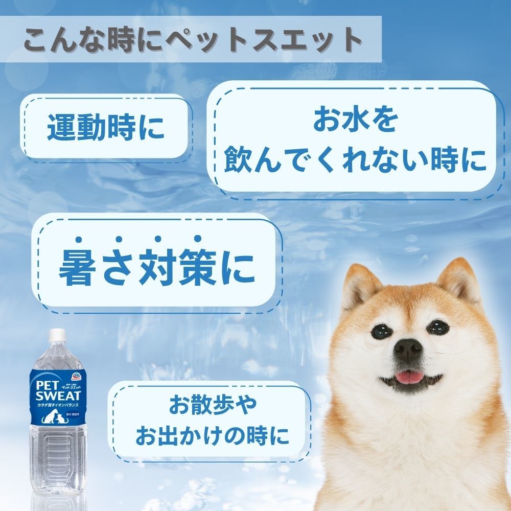 ペットゴー 楽天市場店のペットスエット 2L｜アングル2