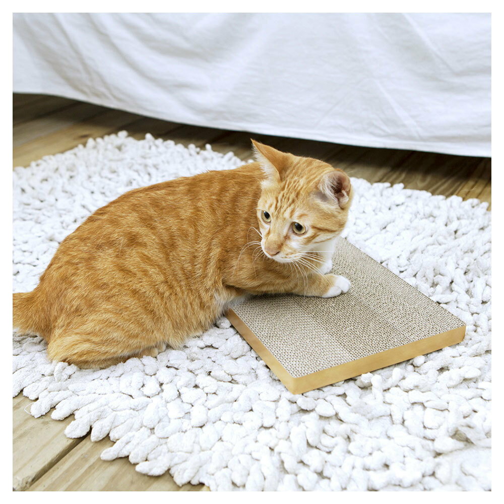 Anikitty(アニキティ) スクラッチスロ...の紹介画像2