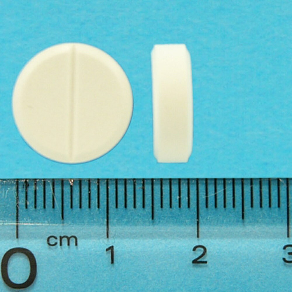 �ɥ��󥷥åȾ� ��ǭ�� 20����ưʪ�Ѱ����ʡ�