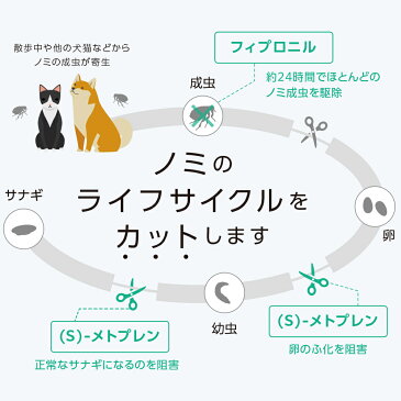 【2箱セット】ベッツワン キャットプロテクトプラス 猫用 6本 (動物用医薬品)【あす楽】