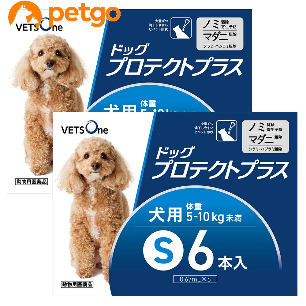 【5%OFFクーポン】【2箱セット】ベッツワン ドッグプロテクトプラス 犬用 S 5kg～10kg未満 6本 (動物用医薬品)【あす楽】