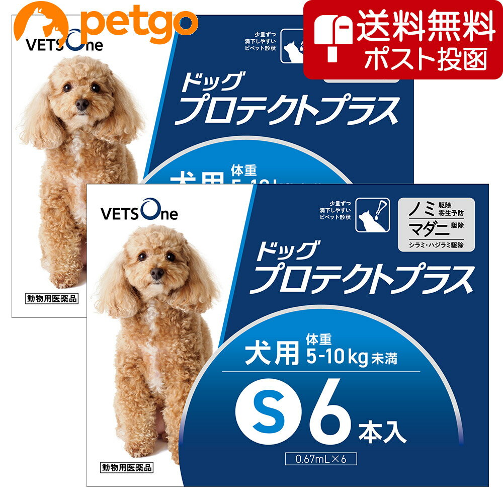 【5%OFFクーポン】【ネコポス(同梱不可)】【2箱セット】ベッツワン ドッグプロテクトプラス 犬用 S 5kg〜10kg未満 6本 (動物用医薬品)【あす楽】