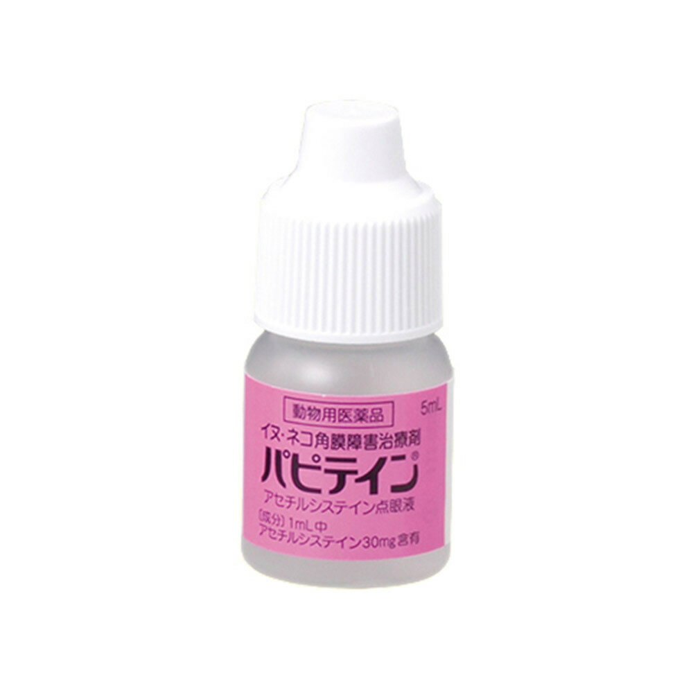 パピテイン 犬猫用 5mL（動物用医薬品）【あす楽】