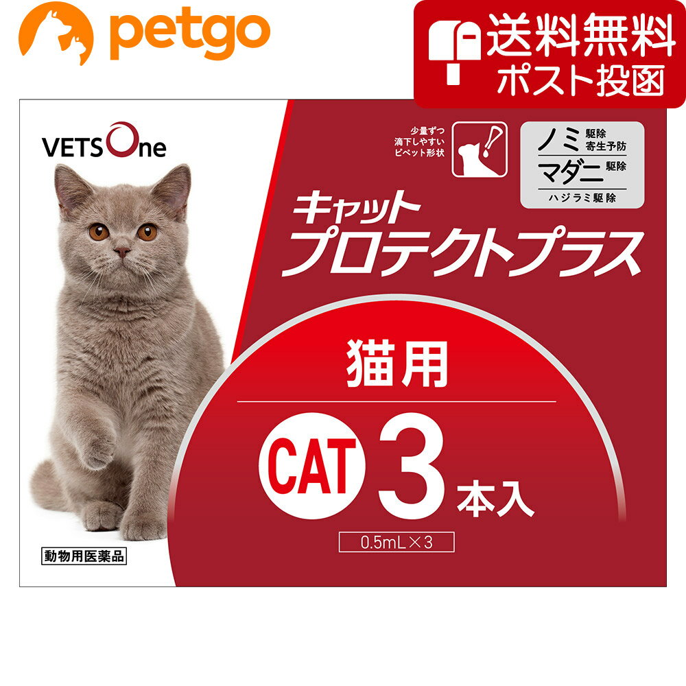 【5%OFFクーポン】【ネコポス(同梱不可)】ベッツワン キャットプロテクトプラス 猫用 3本 (動物用医薬品)【あす楽】