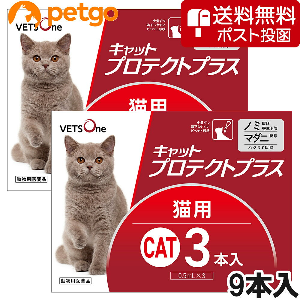 【5%OFFクーポン】【ネコポス(同梱不可)】ベッツワン キャットプロテクトプラス 猫用 9本 (動物用医薬品)【あす楽】