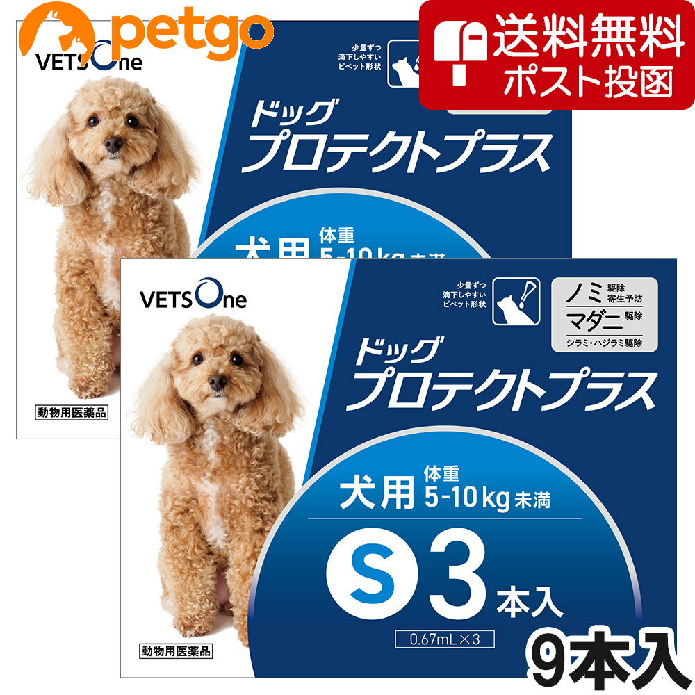 【5%OFFクーポン】【ネコポス(同梱不可)】ベッツワン ドッグプロテクトプラス 犬用 S 5kg～10kg未満 9本 (動物用医薬品)【あす楽】