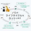 【5%OFFクーポン】【ネコポス(同梱不可)】ベッツワン ドッグプロテクトプラス 犬用 M 10kg～20kg未満 9本 (動物用医薬品)【あす楽】 3