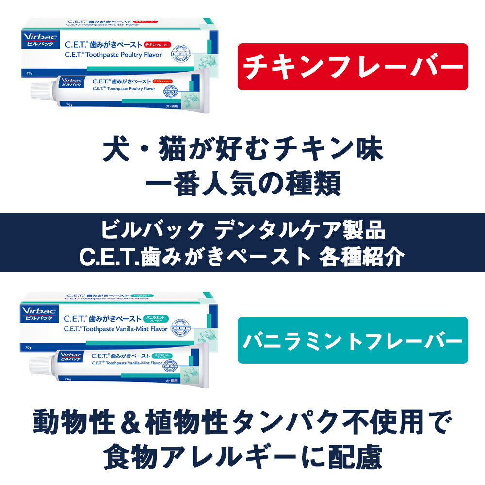 ビルバック犬用・猫用CET歯磨きペースト