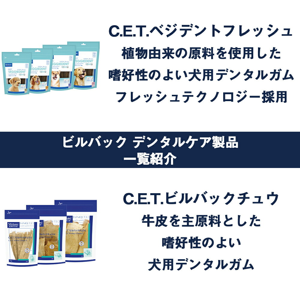 ビルバック犬用・猫用CET歯磨きペースト