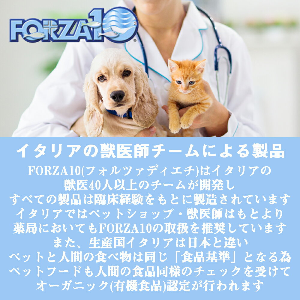 FORZA10 (フォルツァ10) ミスターフルーツ キトン (子猫用・妊娠猫用) 400g 3