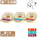 【5日は最大100%ポイントバック※要ER】 一部終売 ニュートロ シュプレモ カロリーケア 選べる2箱(24個×2箱) チキン・チキン&サーモン・ターキー 送料無料
