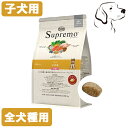 ニュートロ シュプレモ 子犬用 全犬種用 1kg 3kg 6kg 13.5kg