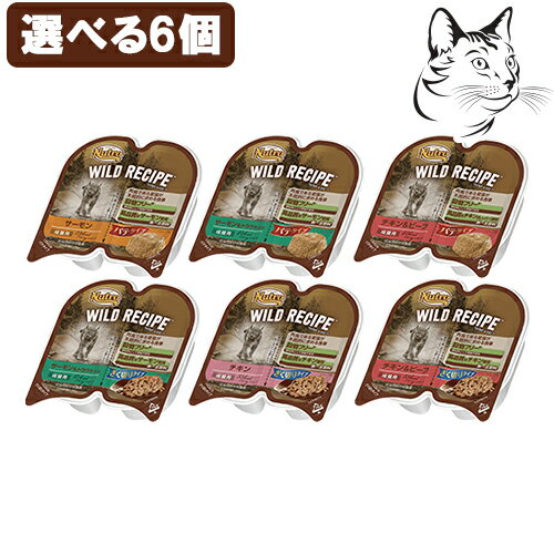 一部終売 ニュートロ ワイルドレシピ キャット ウェットフード 選べる6個 成猫用 パテタイプ ざく切りタイプ 送料無料