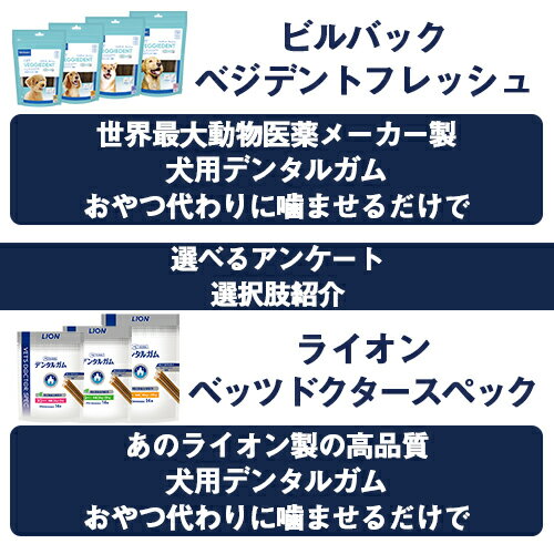選べるアンケート1