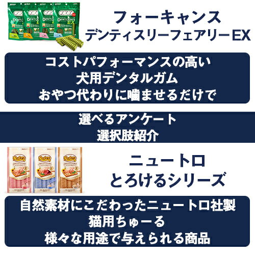 選べるアンケート2