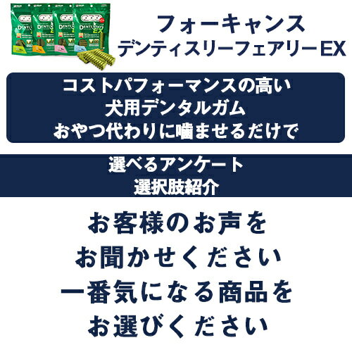 選べるアンケート内容2