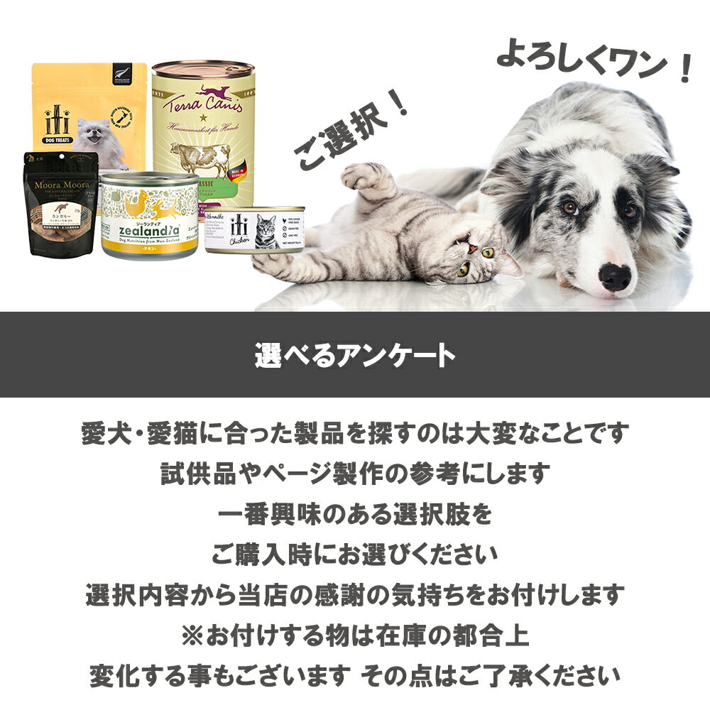 選べるアンケート