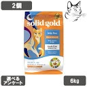 【マラソン期間は全商品P2倍以上】 ソリッドゴールド 愛猫用 インディゴムーン 6kg 2個 送料無料