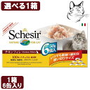 一部欠品 シシア 猫用 マルチパック 選べる1箱 （ 50g×6缶 ） 送料無料