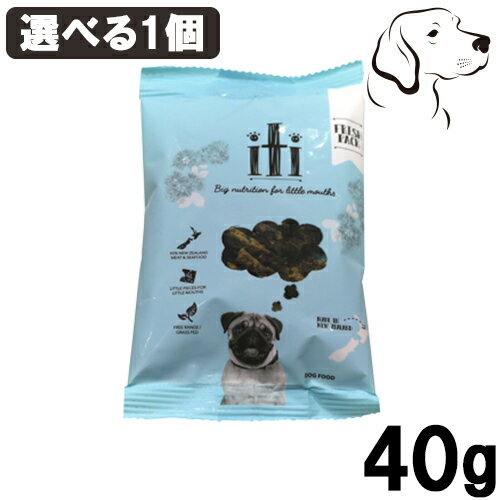 イティ 犬用 エアドライフード 40g 