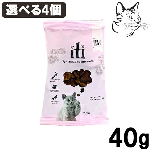 イティ 猫用 エアドライフード 40g 選べる4個 （ チキン＆サーモン チキン&ヴィール ビーフ&イール ） 送料無料