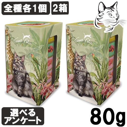 テラフェリス 愛猫用 キャット缶 マルチプロテインシリーズ マルチアソートボックス 2箱 80g 合計10個 ( 全種各2個 ) ( チキン＆ターキー・ビーフ＆ラビット・サーモン＆チキン・ラビット＆ターキー・ラム＆チキン ) 送料無料