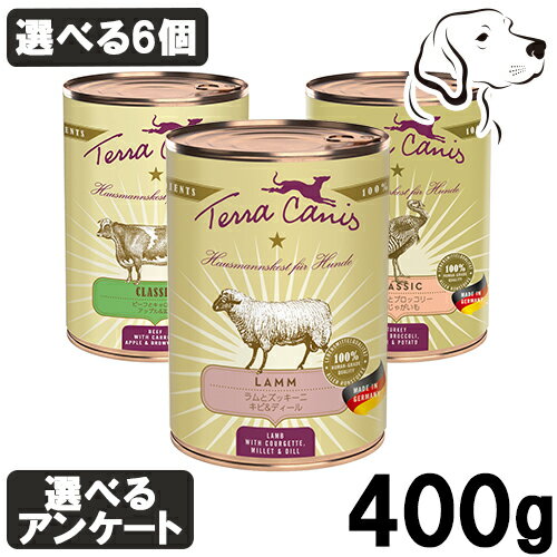 テラカニス 愛犬用 クラシック ドッグ缶 400g 選べる6個 (ラム・ビーフ・ターキー) 送料無料