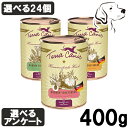 テラカニス 愛犬用 ガーデンベジタブル ドッグ缶 400g 選べる24個 ( 6個 × 4箱 ) (レッド・オレンジ・グリーン) 送料無料